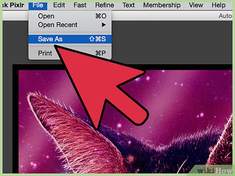 Picture 10 of How to Improve JPEG Image Quality