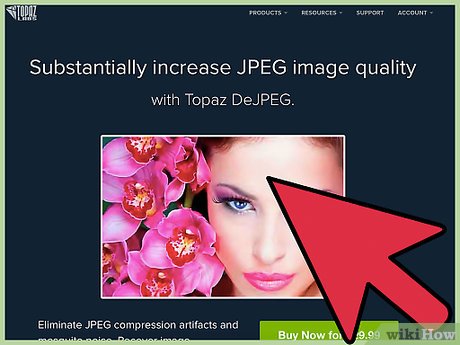 Picture 11 of How to Improve JPEG Image Quality