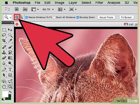 Picture 22 of How to Improve JPEG Image Quality