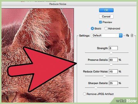 Picture 24 of How to Improve JPEG Image Quality