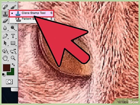 Picture 26 of How to Improve JPEG Image Quality