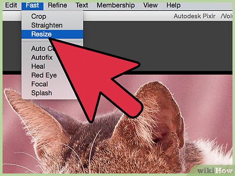 Picture 3 of How to Improve JPEG Image Quality