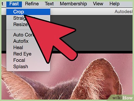Picture 4 of How to Improve JPEG Image Quality