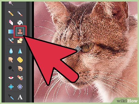 Picture 6 of How to Improve JPEG Image Quality
