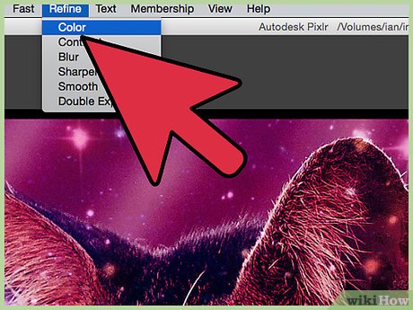 Picture 7 of How to Improve JPEG Image Quality