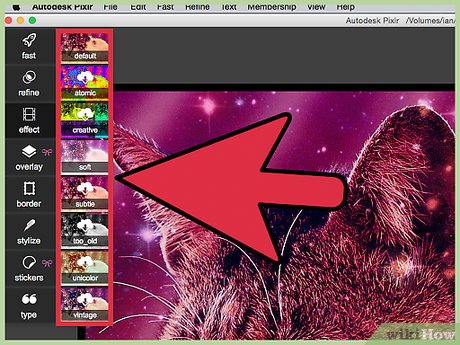 Picture 9 of How to Improve JPEG Image Quality