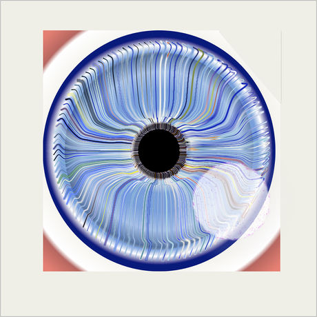How to Improve Your Iris Model Picture 1