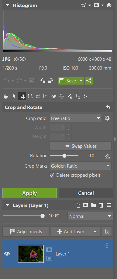 How to Improve Your Photographs Using Zoner Photo Studio X Picture 4