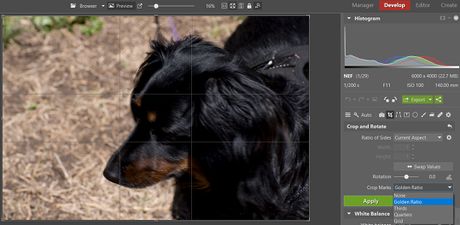 How to Improve Your Photographs Using Zoner Photo Studio X Picture 8