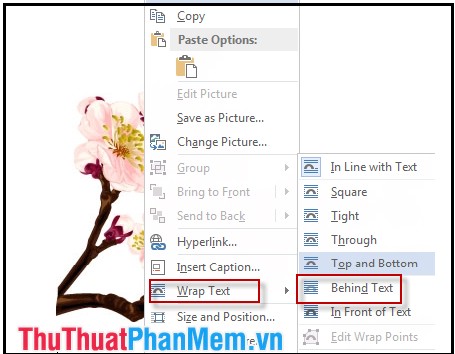 How to insert images into Word documents Picture 8