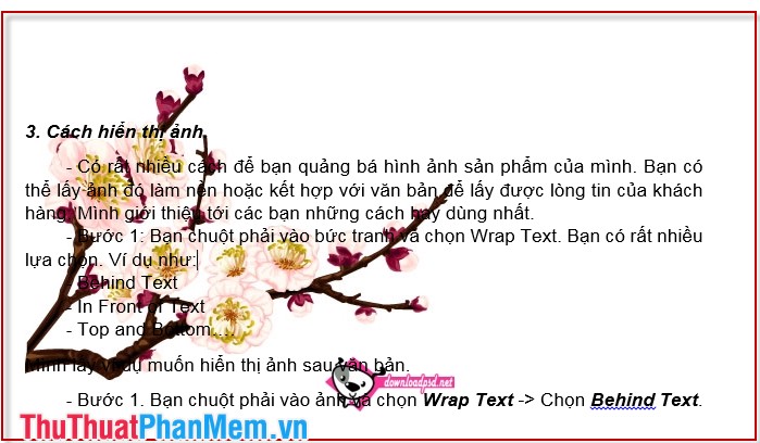 How to insert images into Word documents Picture 9
