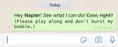 How to insert italics and bold letters in WhatsApp messages Picture 2