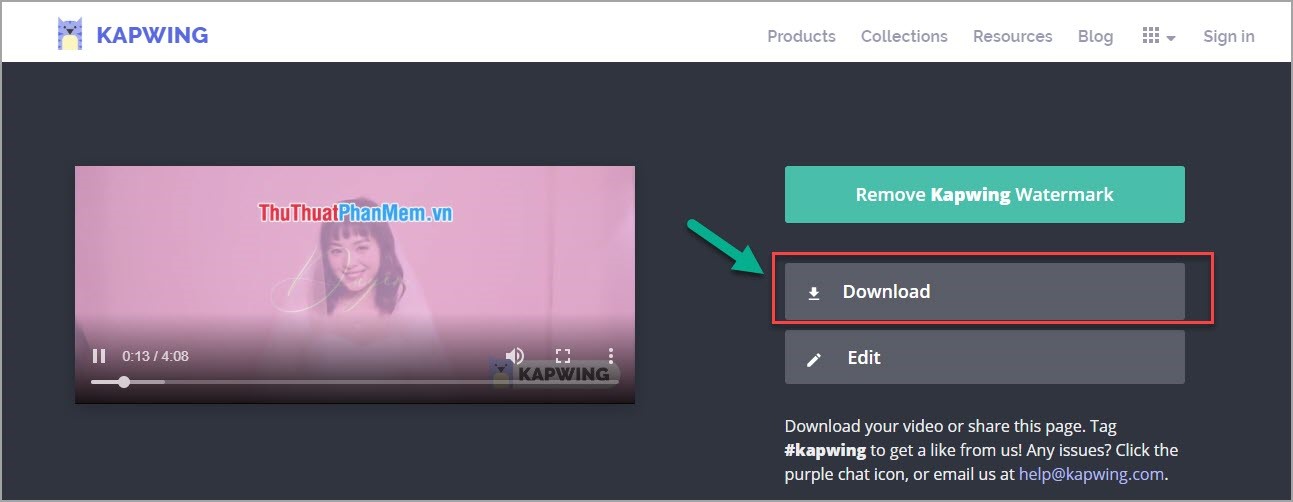 How to insert Logo into Online Video online without software Picture 18