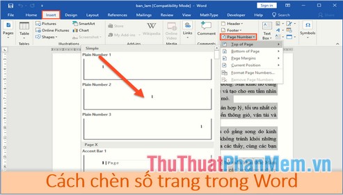 How to insert page numbers and page numbers in Word Picture 1
