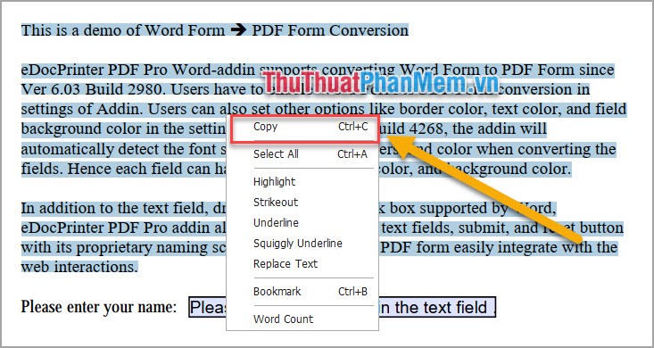 How to insert PDF files into Word fast and standard Picture 7
