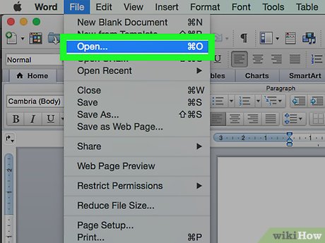 How to Insert Symbols in an MS Word Document Picture 9