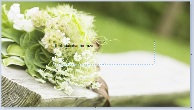 How to insert text into pictures with Paint on Windows Picture 7