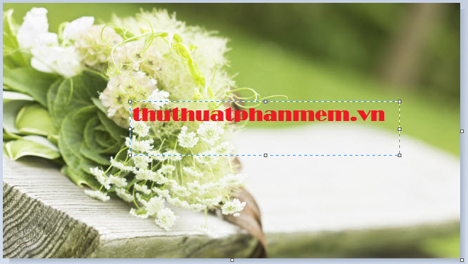 How to insert text into pictures with Paint on Windows Picture 8