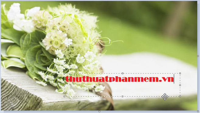 How to insert text into pictures with Paint on Windows Picture 9