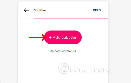 How to insert video subtitles on Veed Picture 3