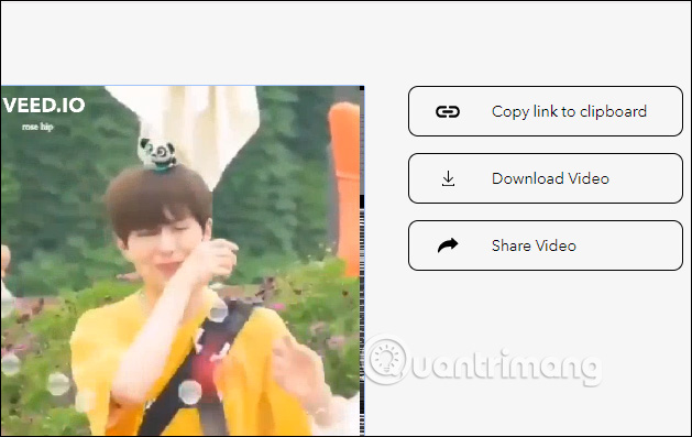 How to insert video subtitles on Veed Picture 8