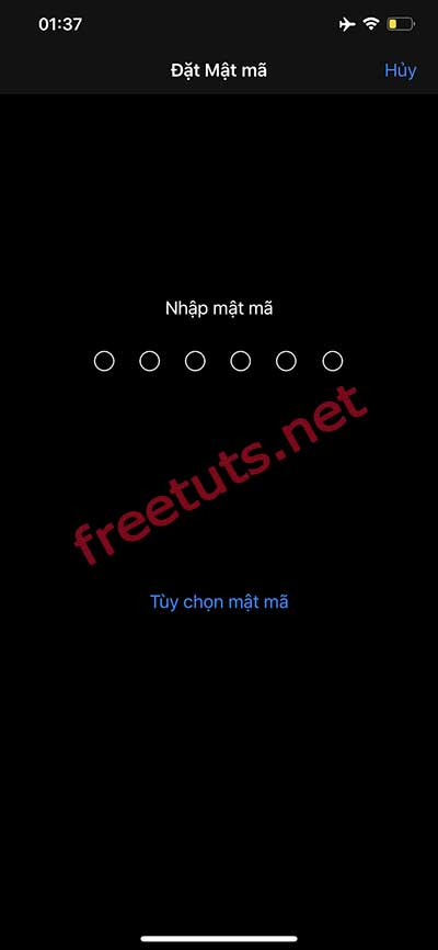 How to install / delete Face ID - Password protect iPhone X, Xs and iPhone 11 Picture 10