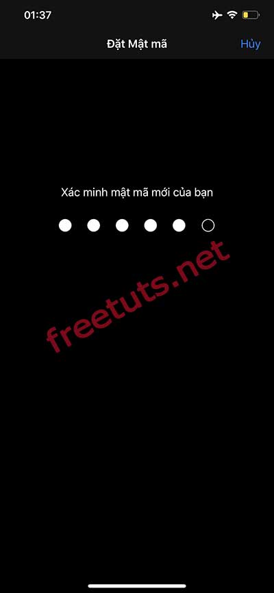 How to install / delete Face ID - Password protect iPhone X, Xs and iPhone 11 Picture 11