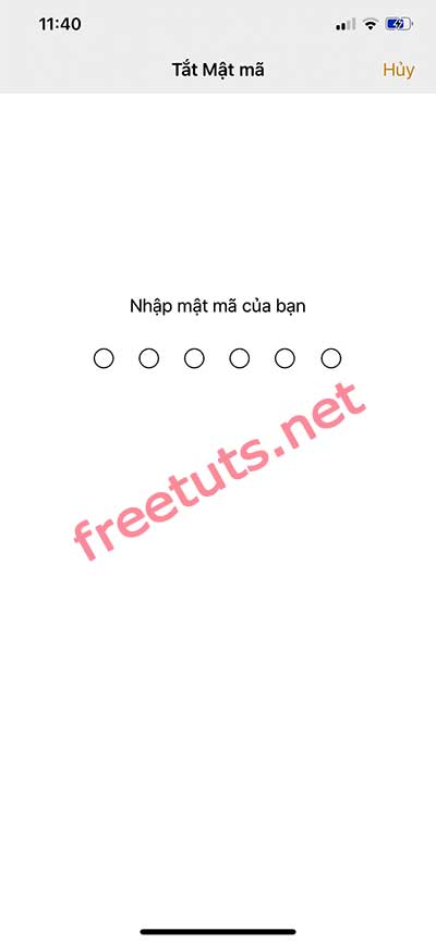 How to install / delete Face ID - Password protect iPhone X, Xs and iPhone 11 Picture 18