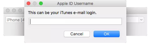 How to install Everfilter image editing application on iPhone / iPad Picture 3