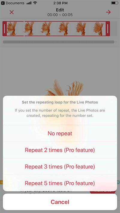 How to install fish wallpaper for iPhone Picture 9