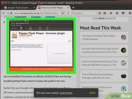 How to Install Flash Player on Ubuntu Picture 6