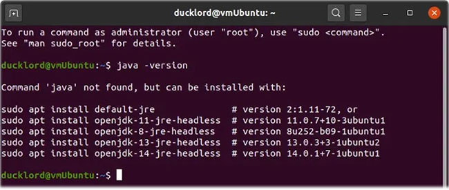 How to install Java Runtime in Ubuntu Picture 1