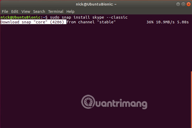 How to install Skye on Ubuntu Picture 2