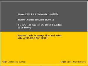 How to install VMware ESXi4 Server Picture 3
