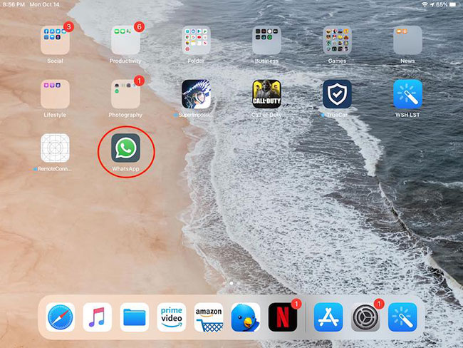 How to install WhatsApp on iPad without jailbreak Picture 8