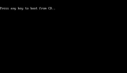 How to Install Windows Using a CD Picture 4