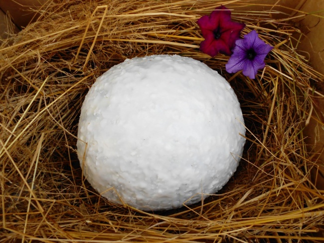 How to keep watermelon fresh for 6 months Picture 3