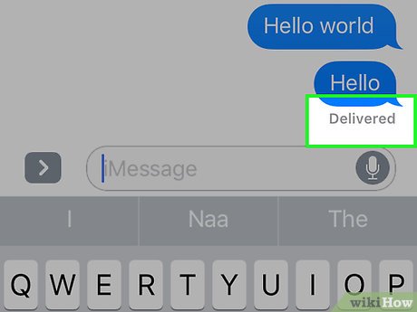 How to Know if a Message Was Delivered on Apple Messages Picture 6