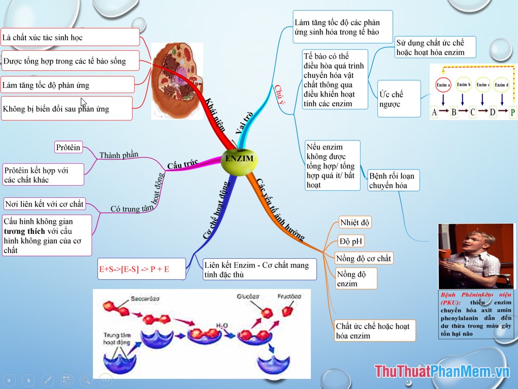 How to link slides in a PowerPoint presentation Picture 6