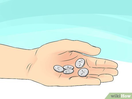 How to Live Without a Car Picture 7