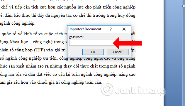 How to lock a data area on Word Picture 10