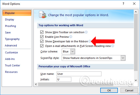 How to lock a data area on Word Picture 11