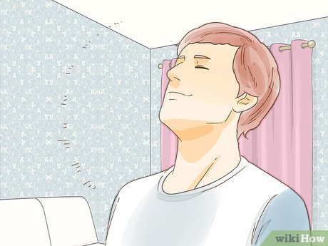 How to Look After Pets During Fireworks Picture 11