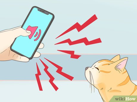 How to Look After Pets During Fireworks Picture 2