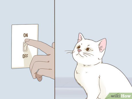 How to Look After Pets During Fireworks Picture 3