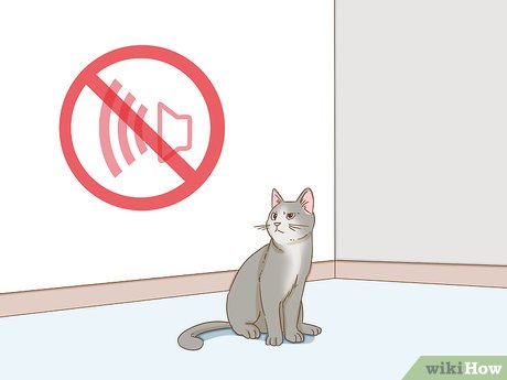 How to Look After Pets During Fireworks Picture 5