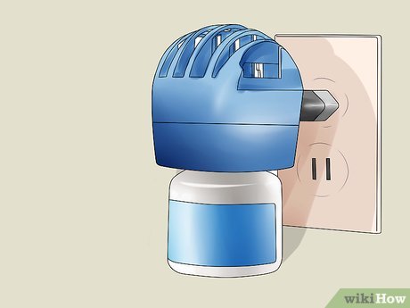 How to Look After Pets During Fireworks Picture 6