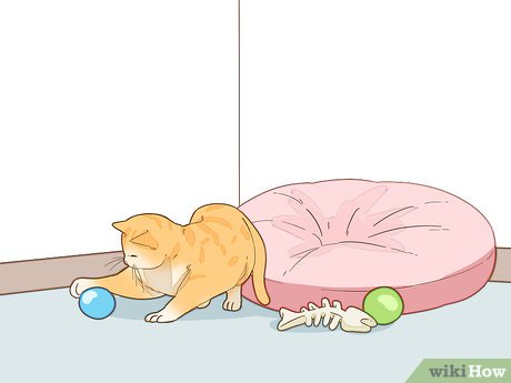 How to Look After Pets During Fireworks Picture 8