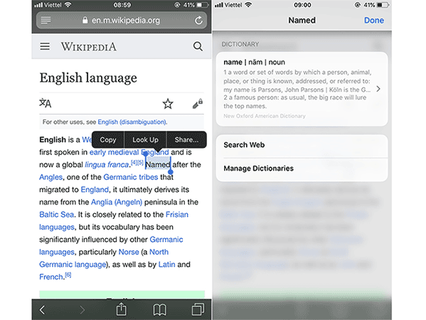 How to look up the dictionary right on the iPhone, iPad running iOS 11 Picture 4