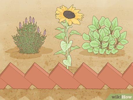 How to Maintain a Garden Picture 1